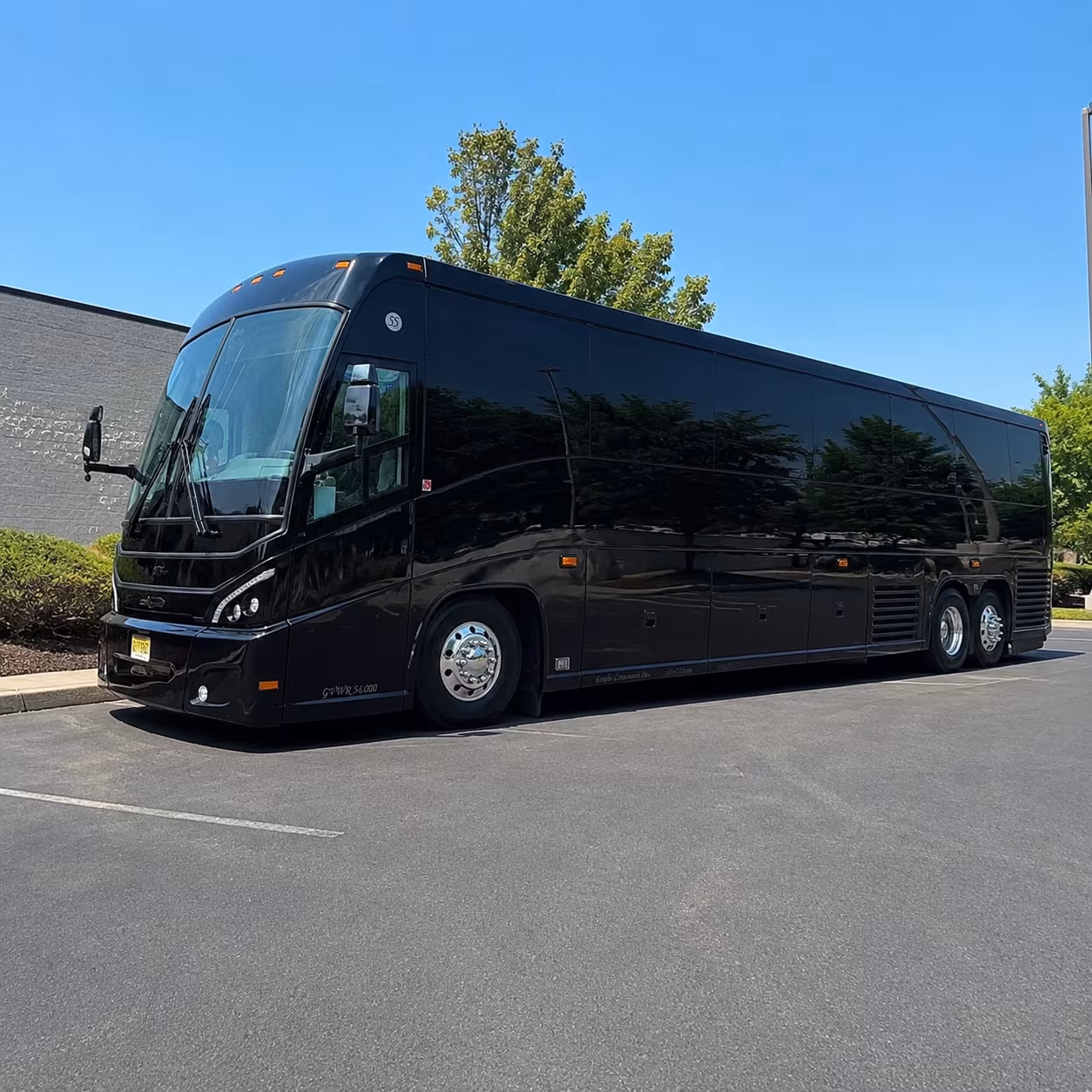 charter bus rentals from beaumont to dallas and the metroplex