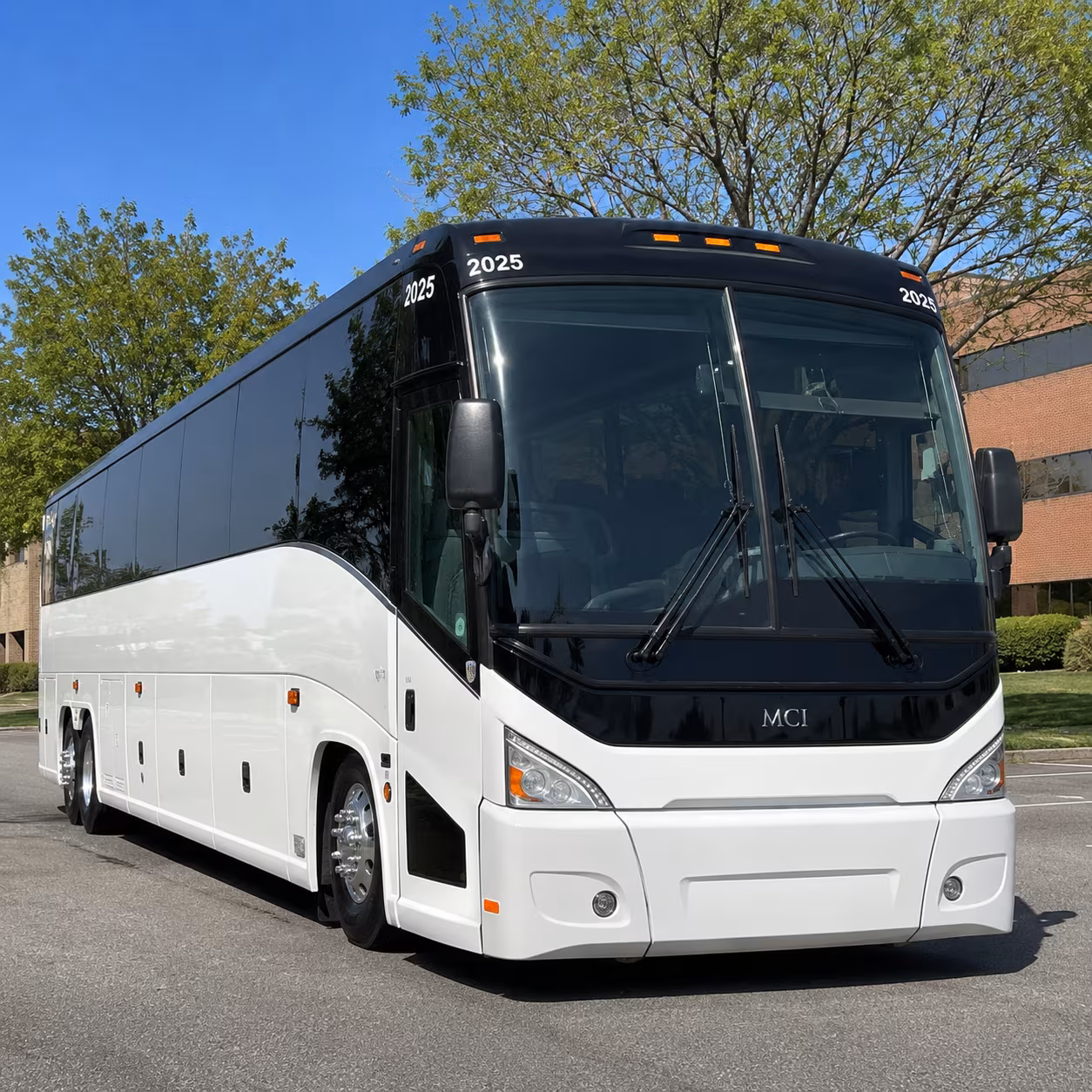mardi gras of southeast texas buses for the whole krewe