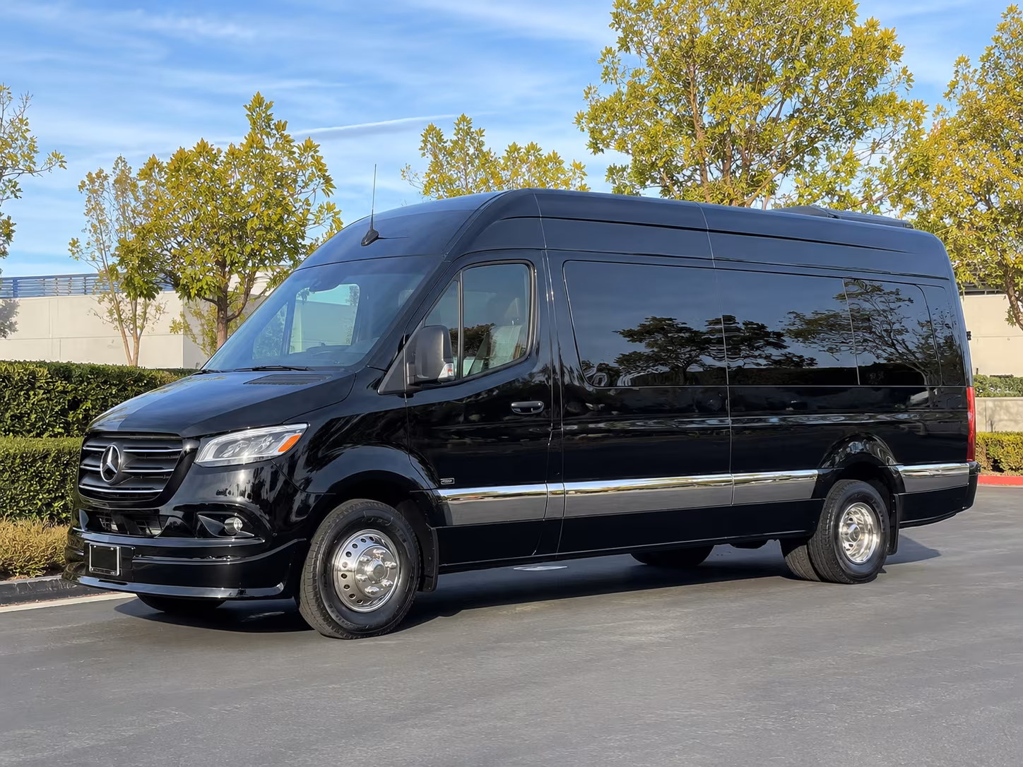 sprinter van with driver